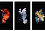 Live Fish Wallpapers met 3D Touch en Force Touch in iPhone 8 / iOS 11
