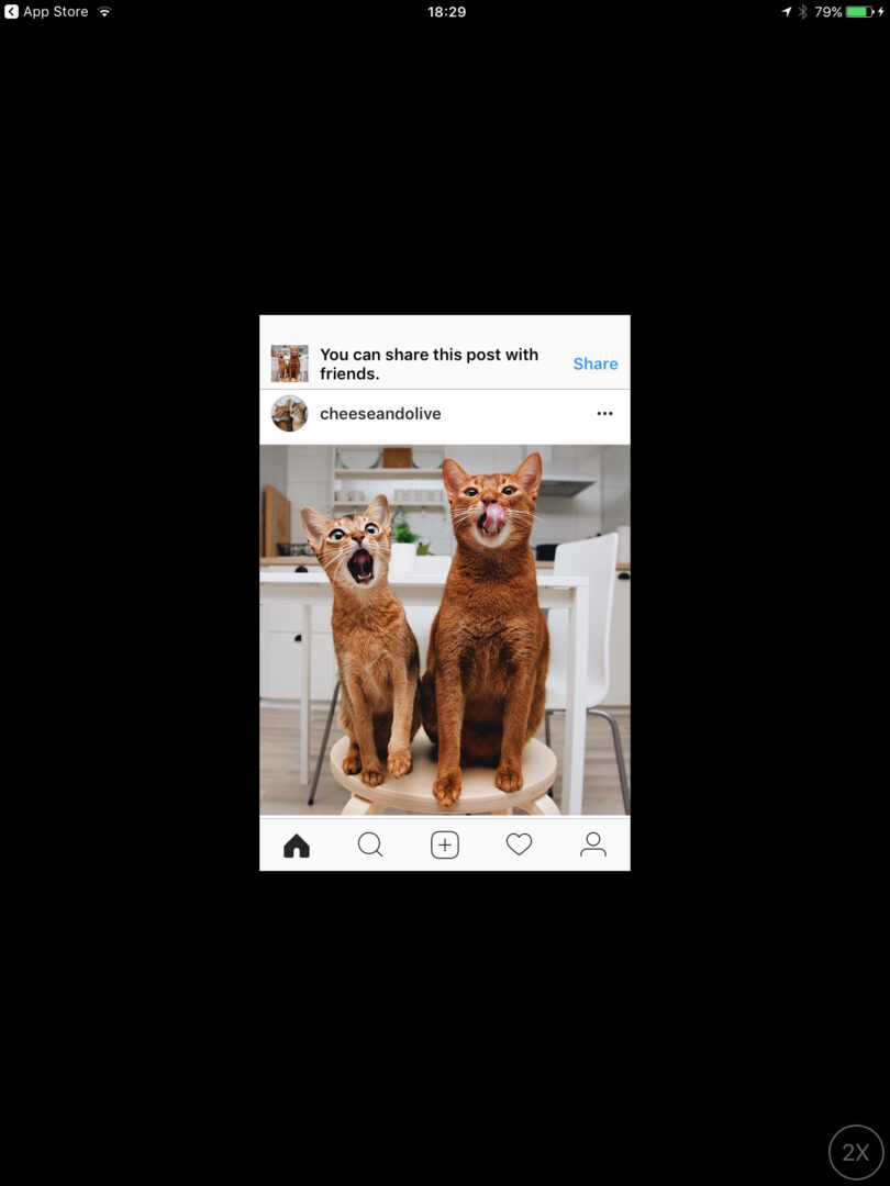 Instagram iPad Aplikacja 1x