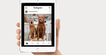 How can we install Instagram (the official application) on the iPad Mini, iPad Pro, iPad Air