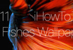 Hoe originele Fish Live Wallpapers aan te zetten? iOS 11 - De enige oplossing