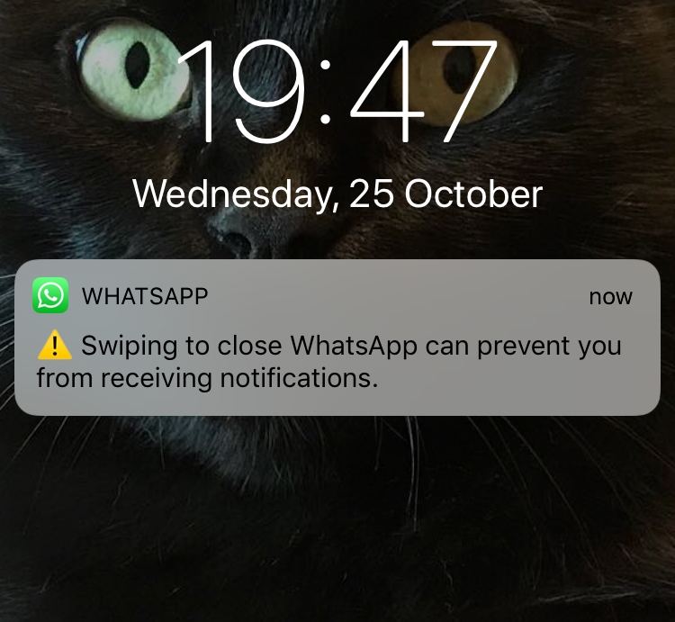 WhatsApp w Szwajcariiping Błąd