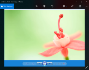 fotor for windows 7 review review