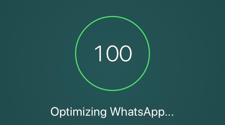 WhatsApp Messenger: Please Launch WhatsApp to receive messages