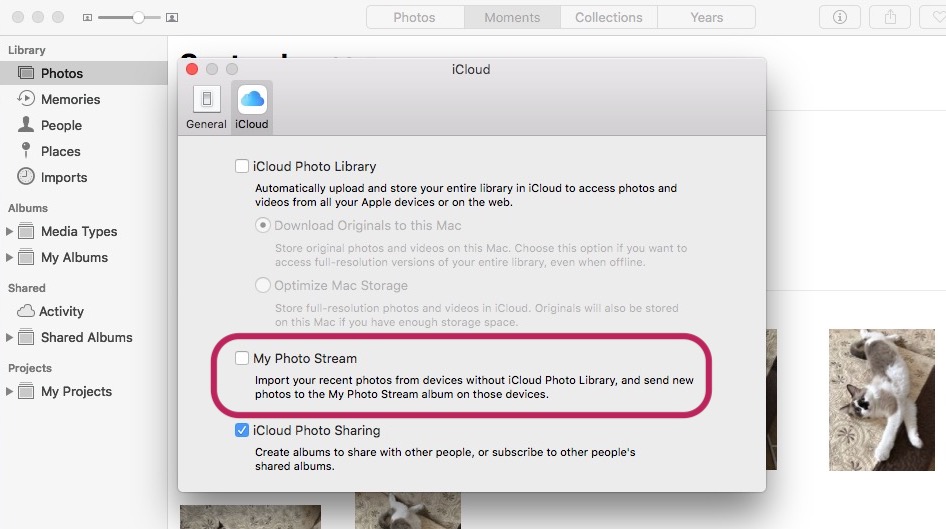 Mój strumień zdjęć - co to jest i jak można go używać macOS, IOS, iPadOS i TVOS