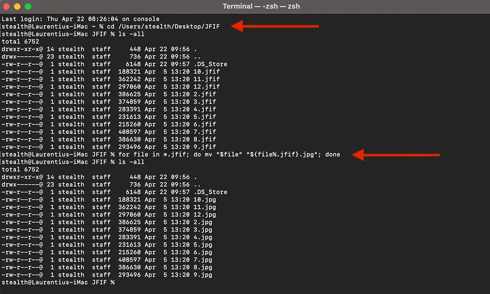 Rename Files Extensions in Terminal