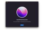 macOS Monterey Installer