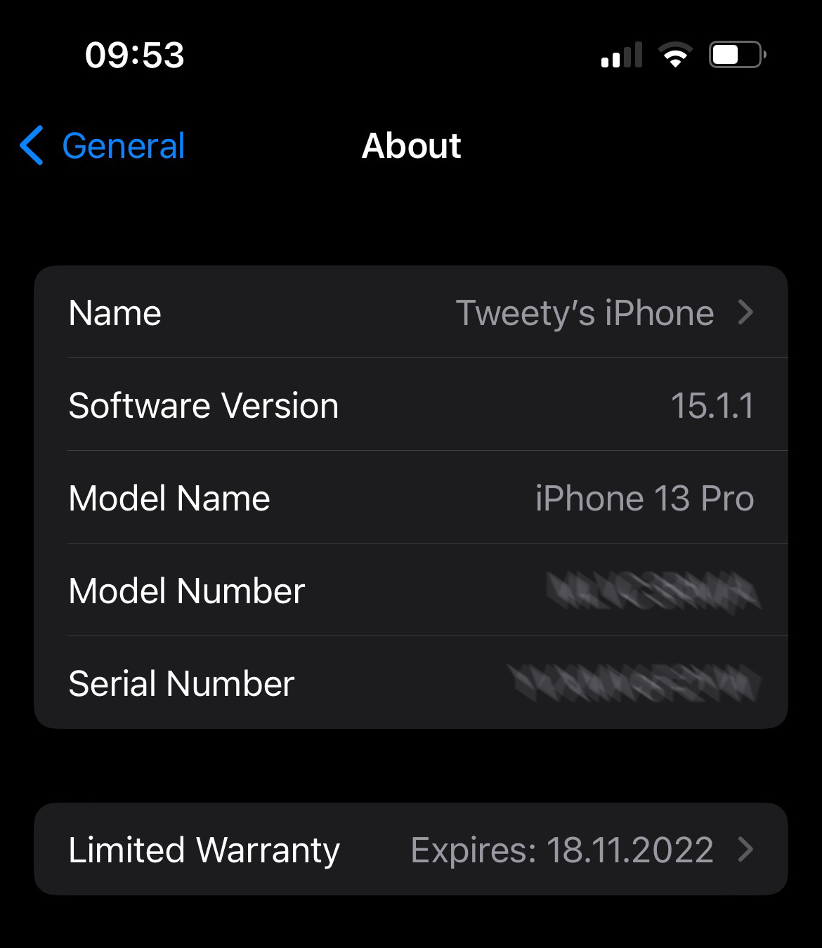 iPhone 13 Eingeschränkte Garantie