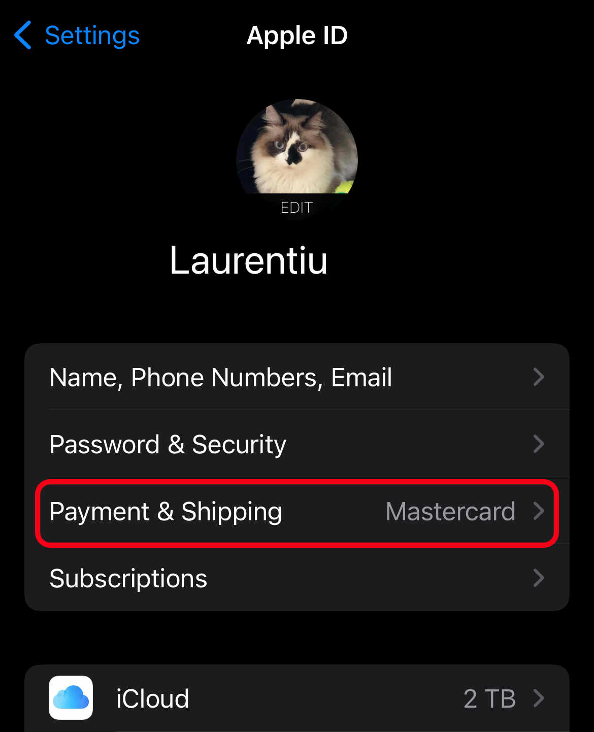Payment & Shipping