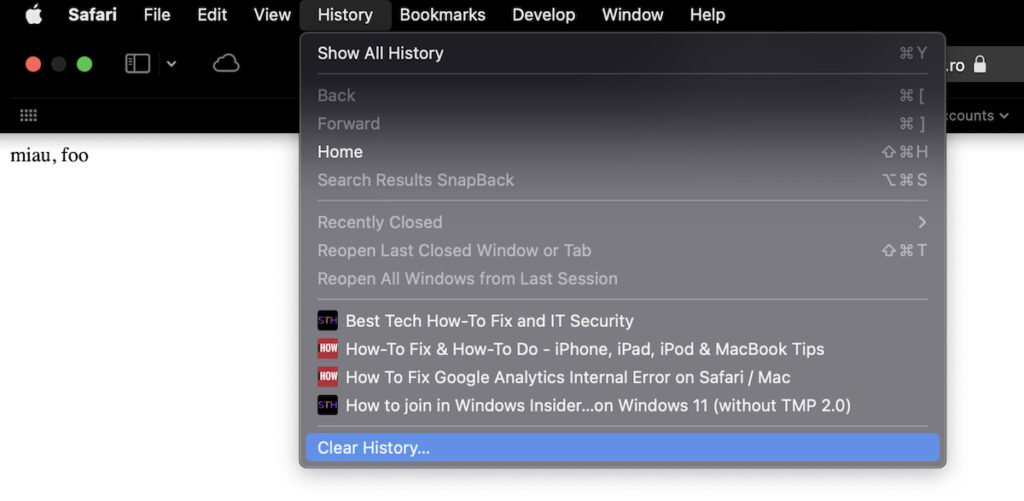 Clear History in Safari