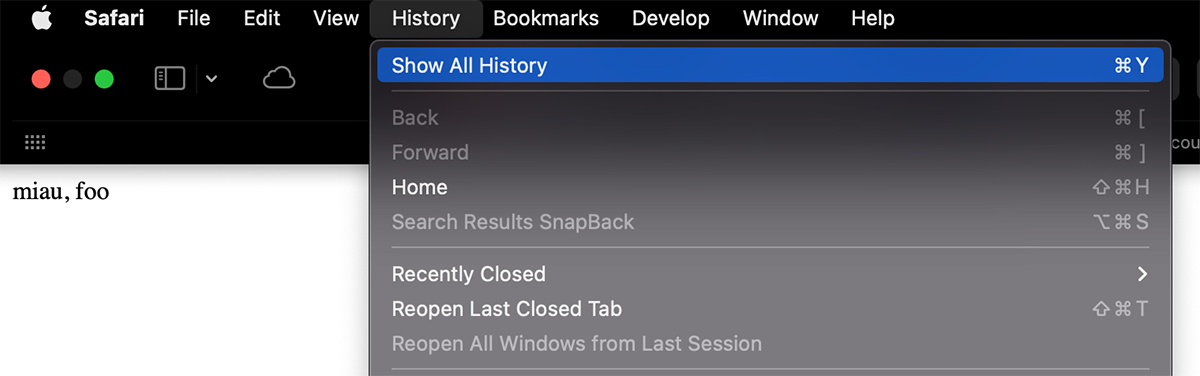 Show All History in Safari