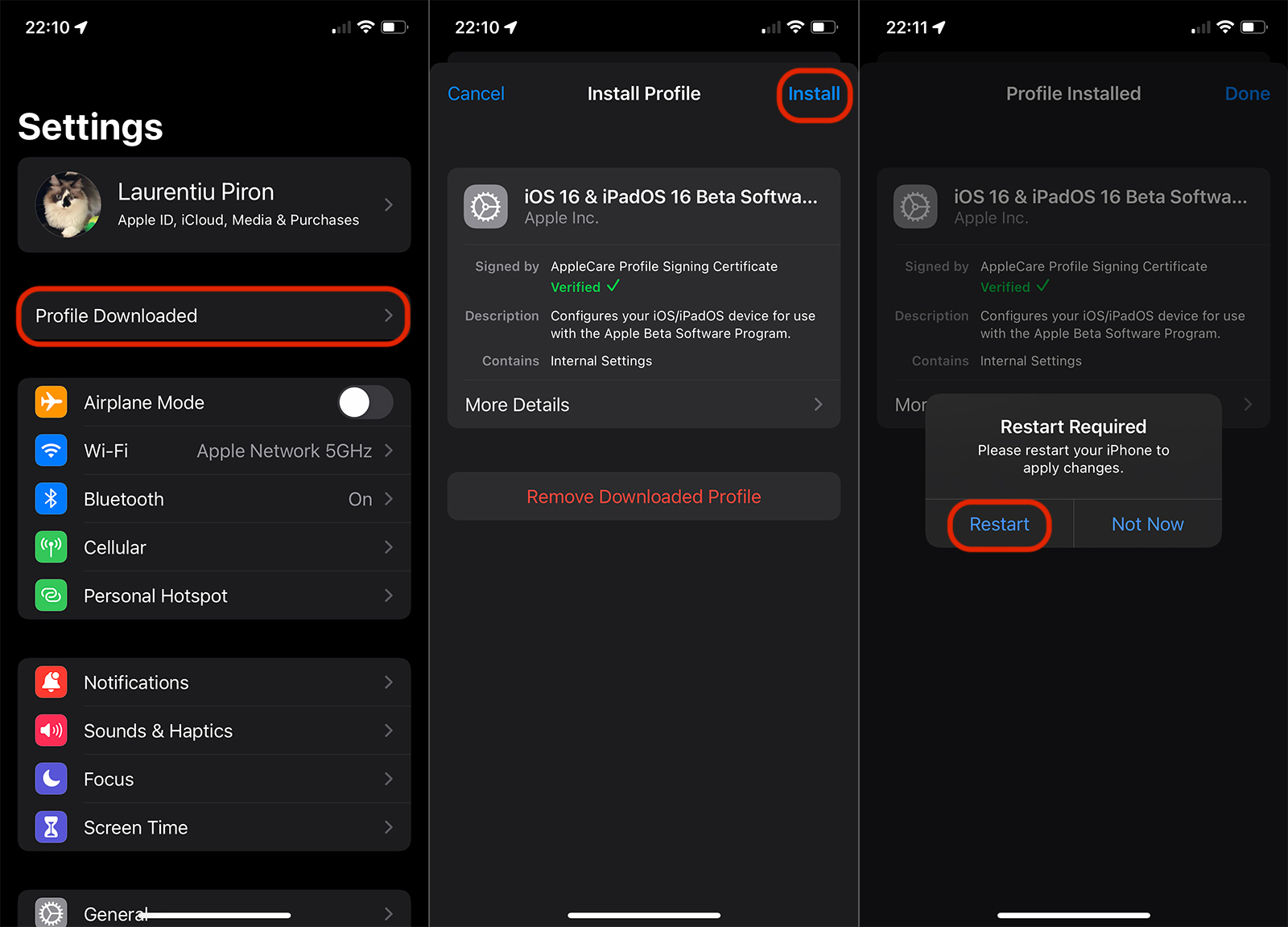 Install iOS 16 Profile Public Beta
