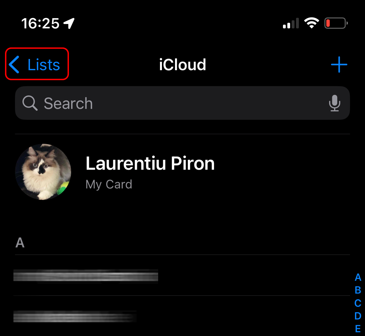 Lists in Contacts iPhone