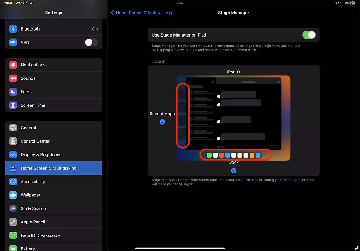 enable Stage Manager iPad