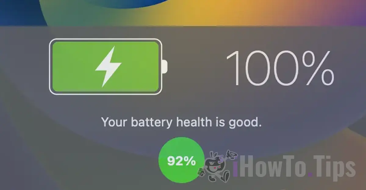 Battery Health आईपैड पर स्थिति