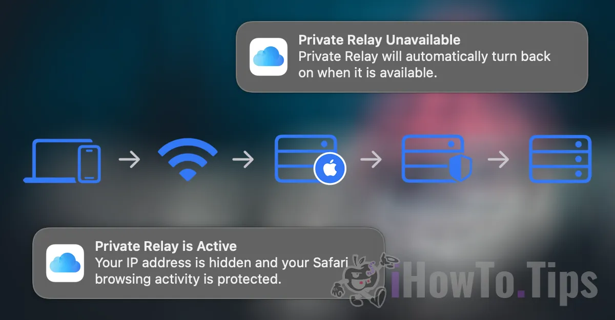 iCloud Private Relay on Safari